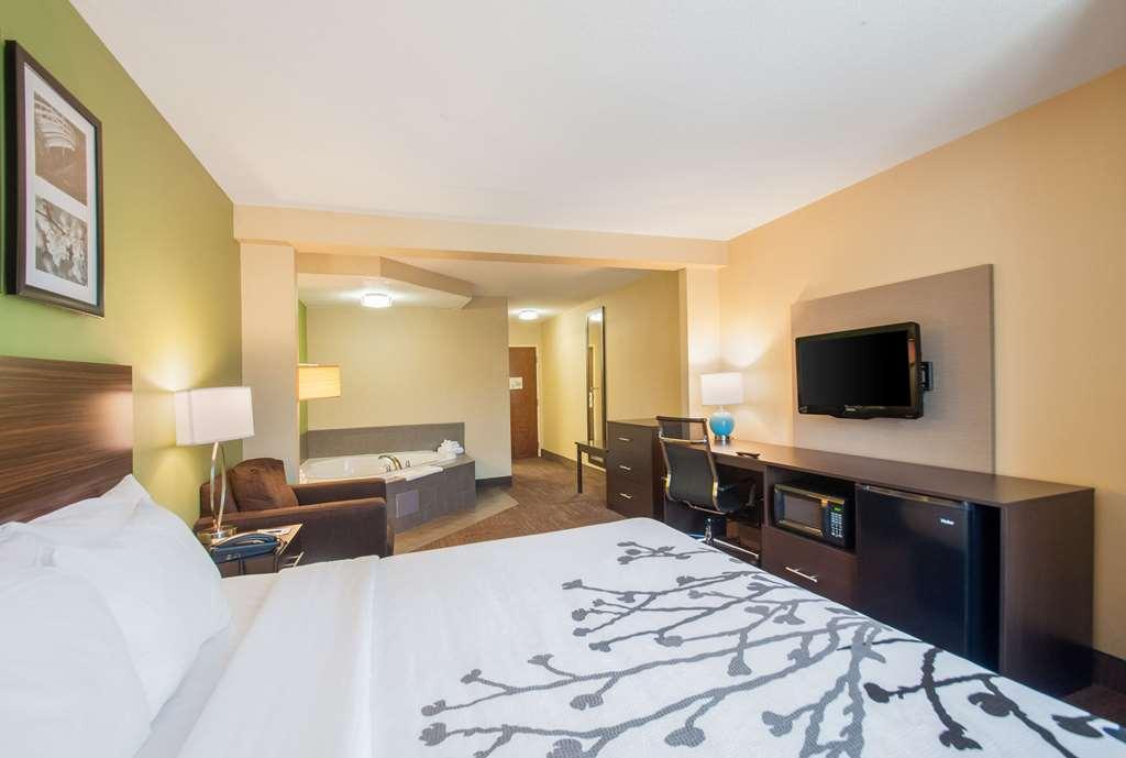 Sleep Inn & Suites Dover Room photo
